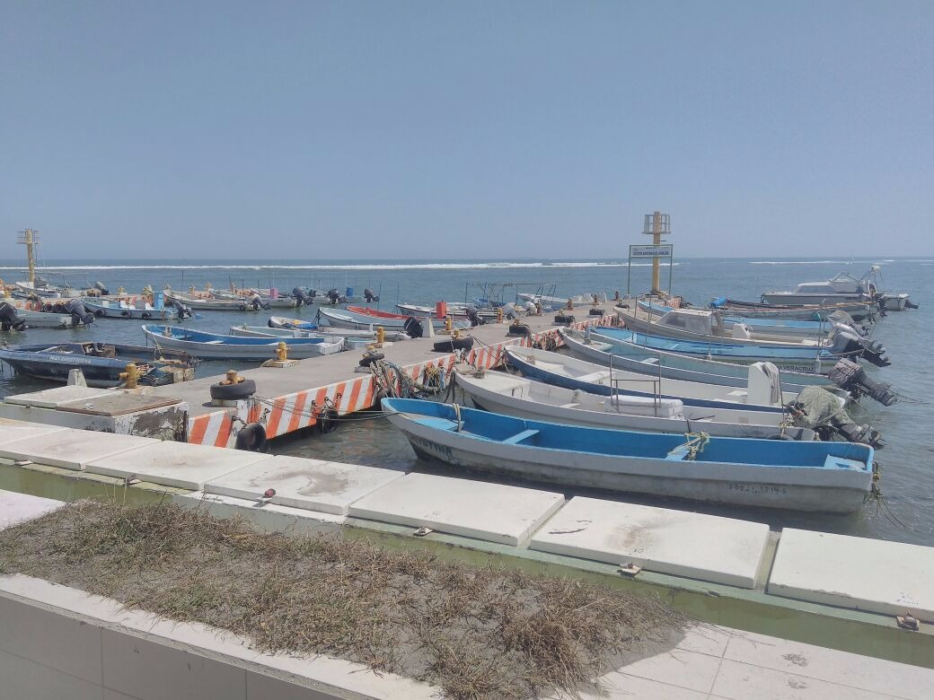 Sin afectaciones en el puerto de Veracruz por sismo, confirma alcalde