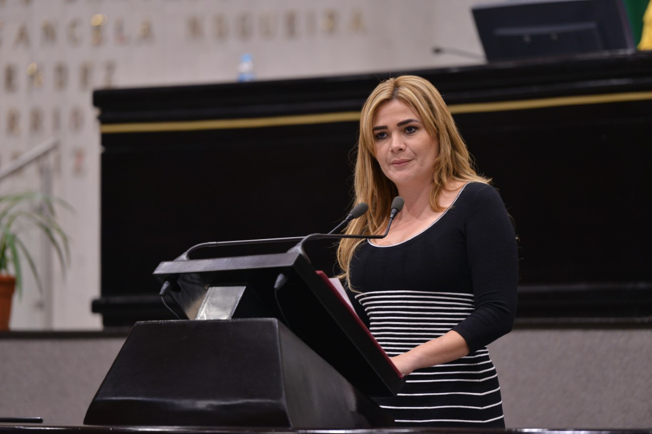 Lamentable que familiares de desaparecidos no exijan comparecencia del ex fiscal Luis Ángel Bravo: Maryjose Gamboa