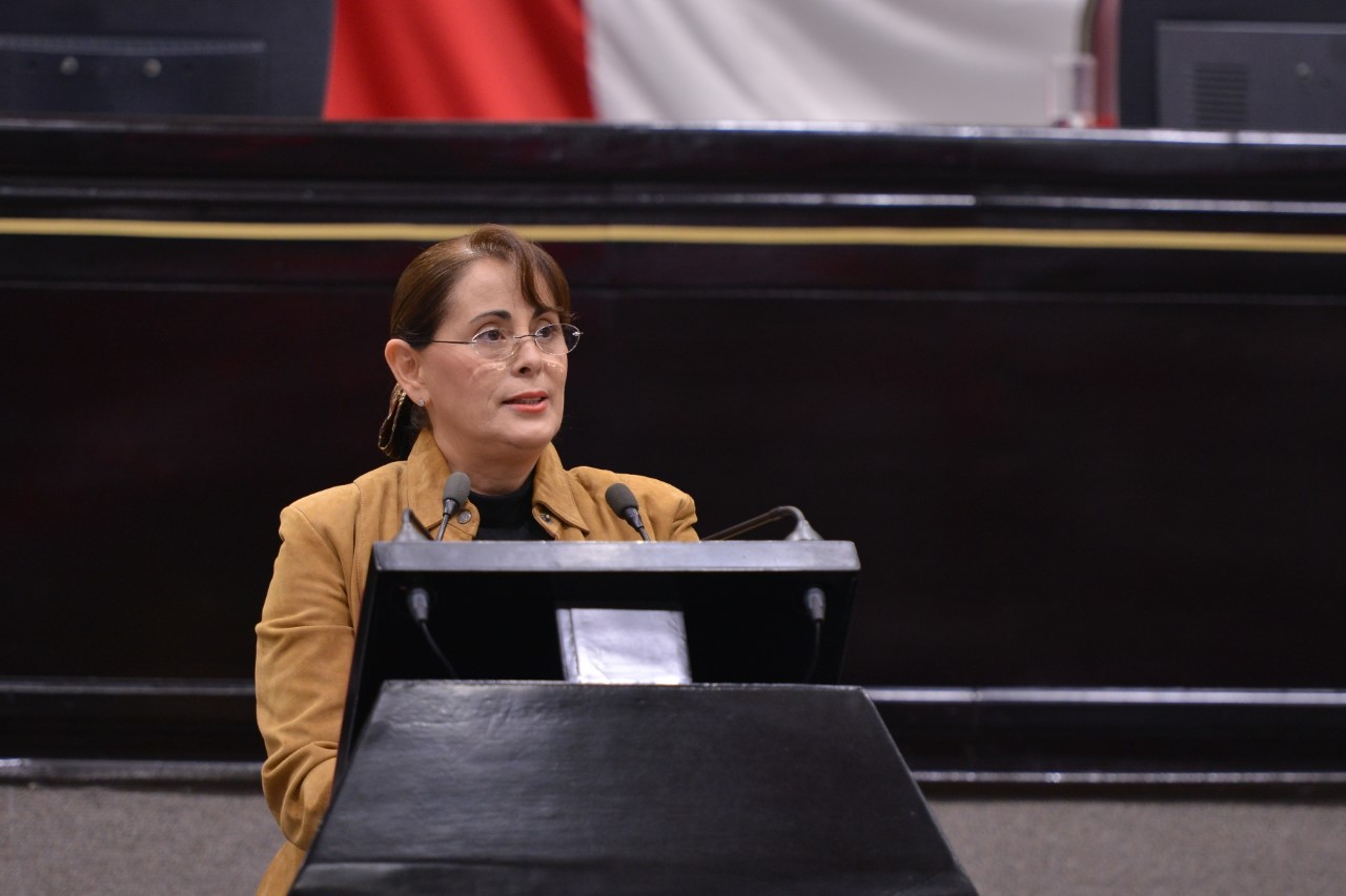 Propone diputada declarar septiembre «mes de la protección civil» en Veracruz