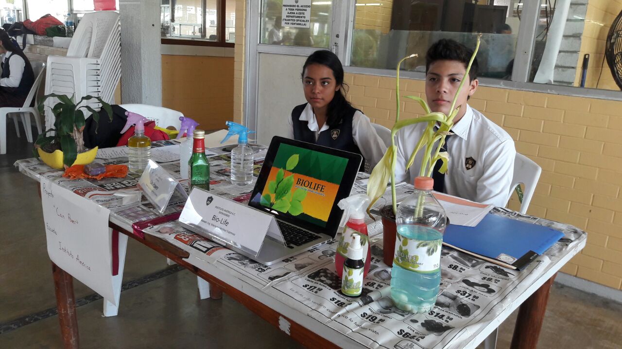 Celebran Olimpiada Ambiental en Boca del Río