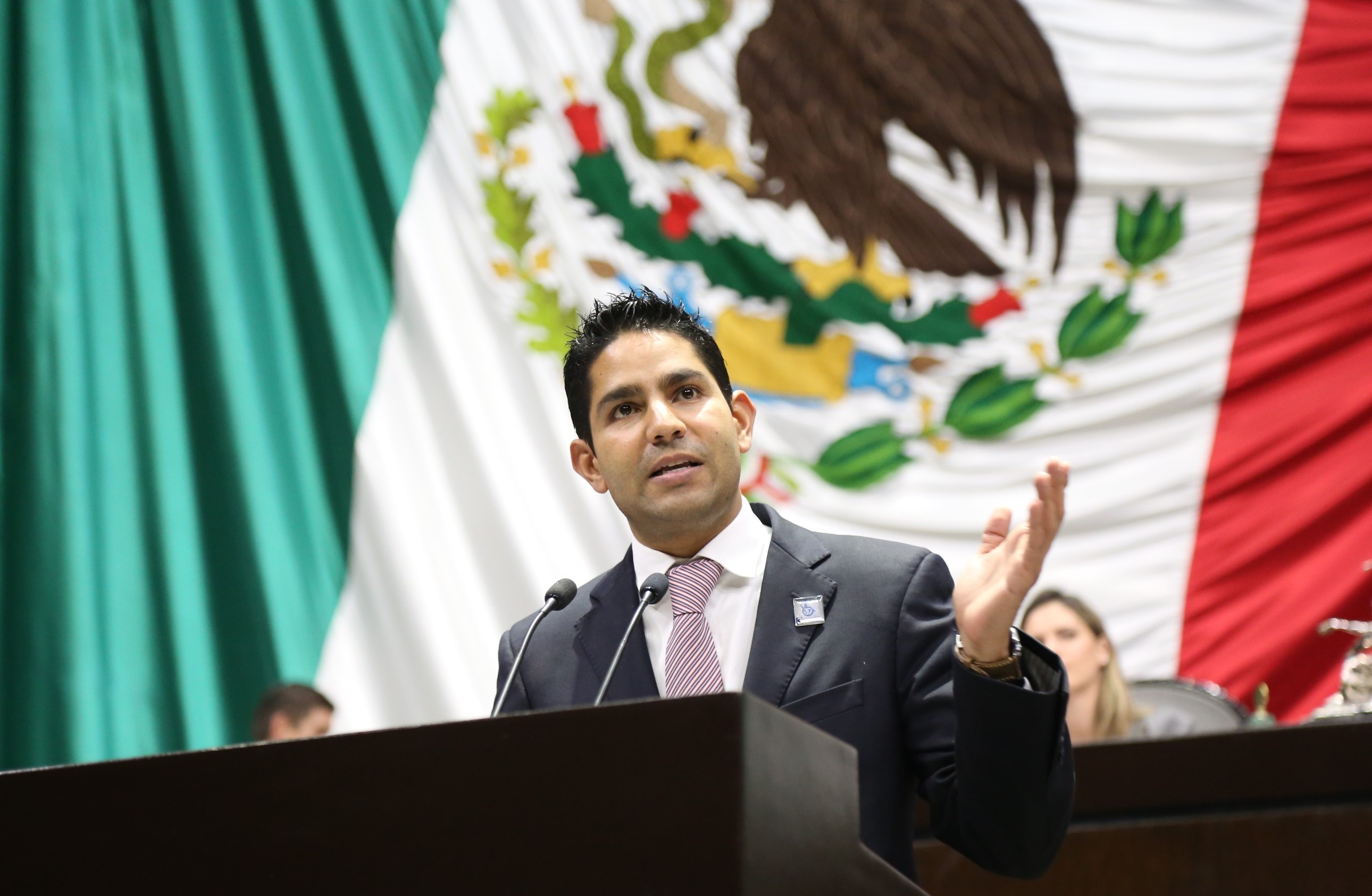 Propone PVEM segunda vuelta para elección presidencial