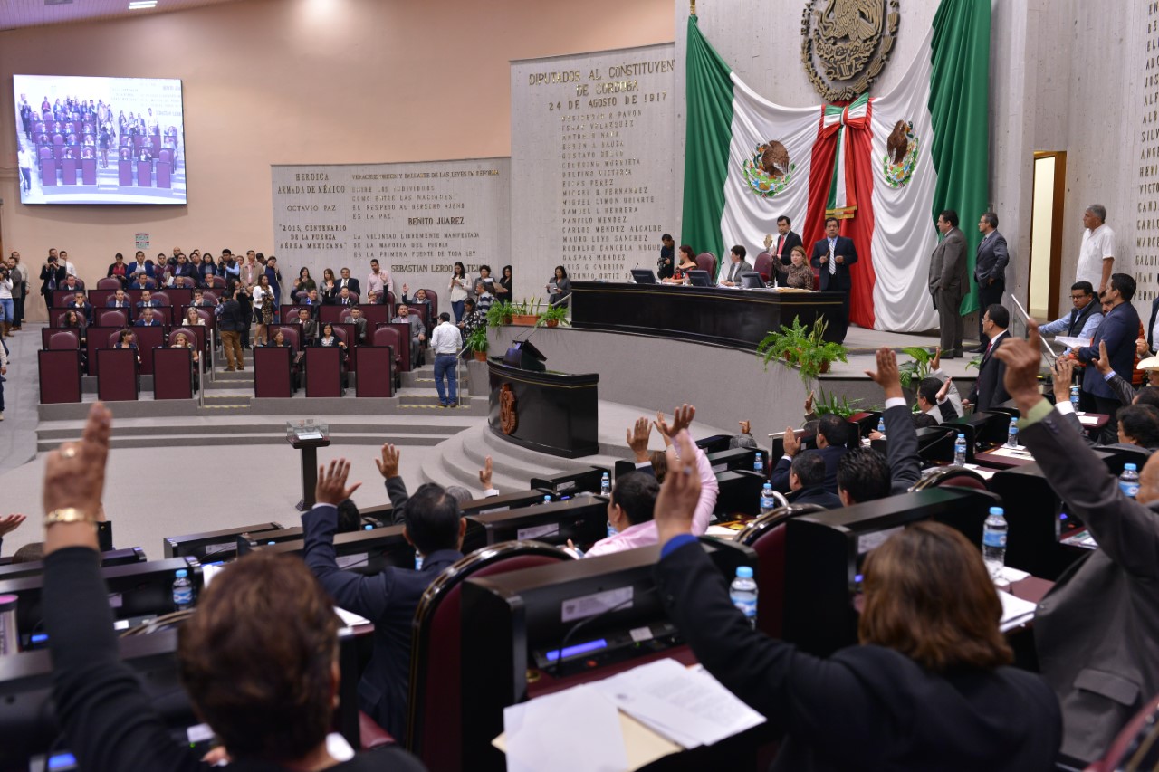 Hoy vence plazo para que el gobernador Yunes vete Ley de Protección Animal