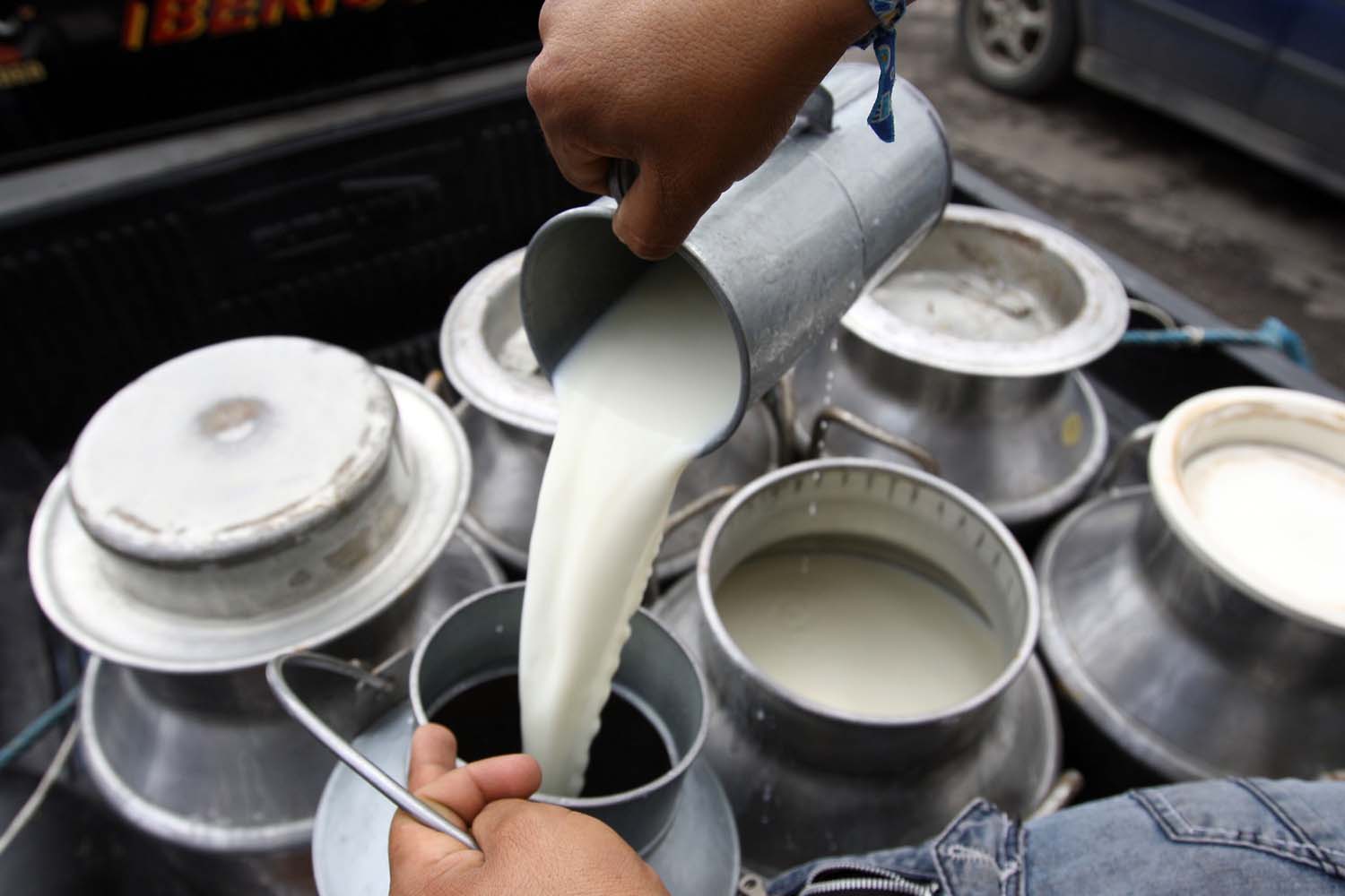 Pequeños productores de leche podrán acceder a créditos: Sedarpa