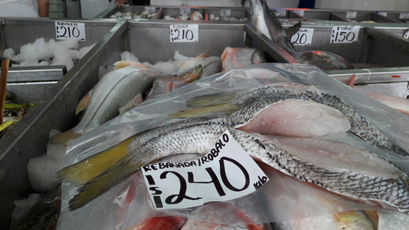 Pese a incremento de ventas de productos del mar, los pescadores deben «rematar» su mercancía