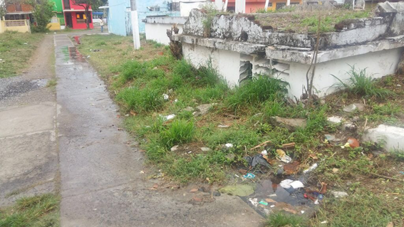 Más de una semana con fuga de agua en el Infonavit Buenavista y Grupo MAS no atiende la queja