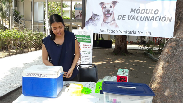 Jurisdicción Sanitaria VIII aplicará 104 mil vacunas antirrábicas