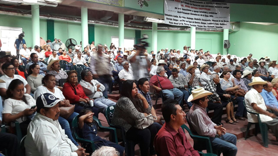 Veracruz se mantiene en primer lugar nacional en hato ganadero