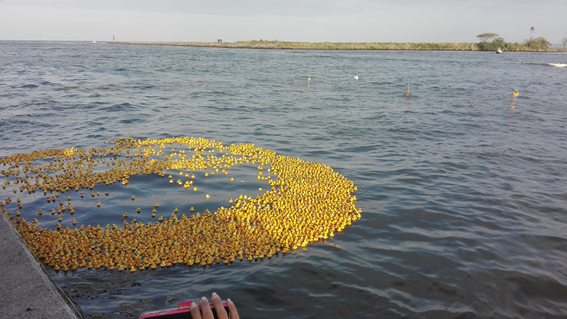 Se realiza Carrera de Patito de Hule