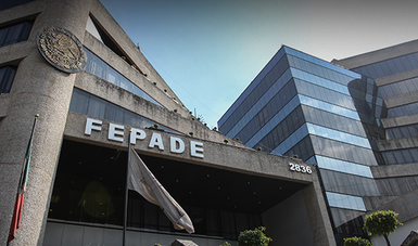 Fepade, lista para vigilar comicios del próximo domingo