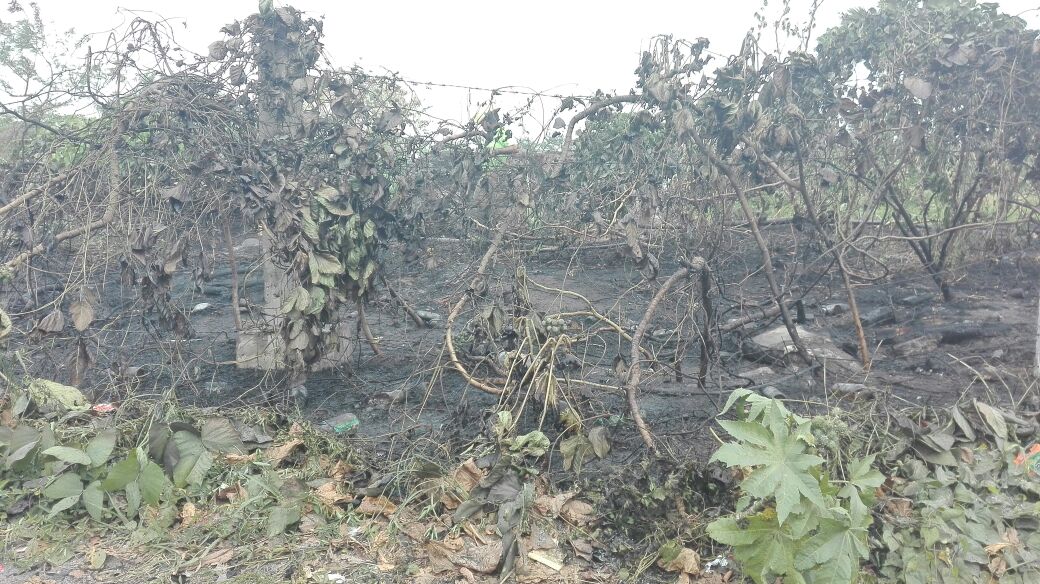 Se incendia terreno baldío de Ejercito Mexicano