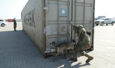 Asegura la Marina cien kilos de cocaína en Lázaro Cárdenas, Michoacán