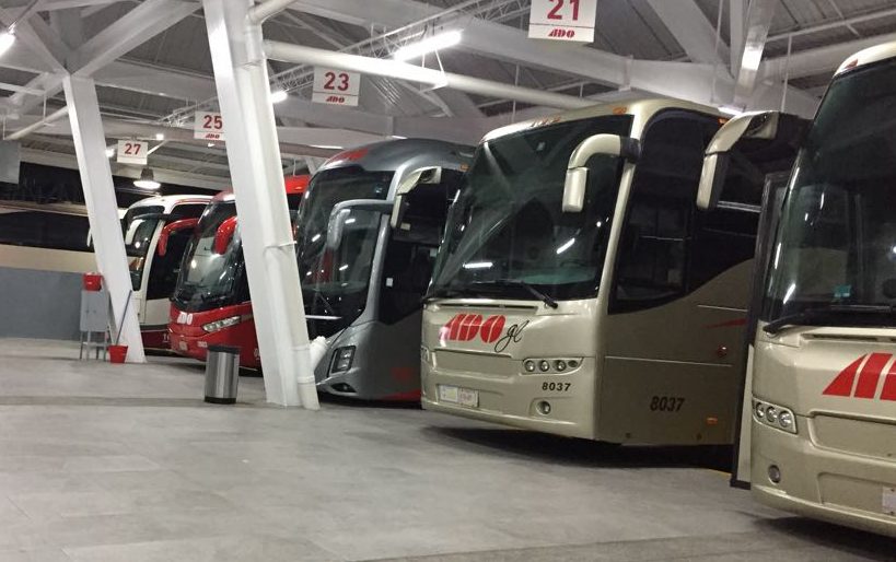 ADO anuncia nuevas medidas de ascenso y descenso de transporte público en terminal de Xalapa, Veracruz