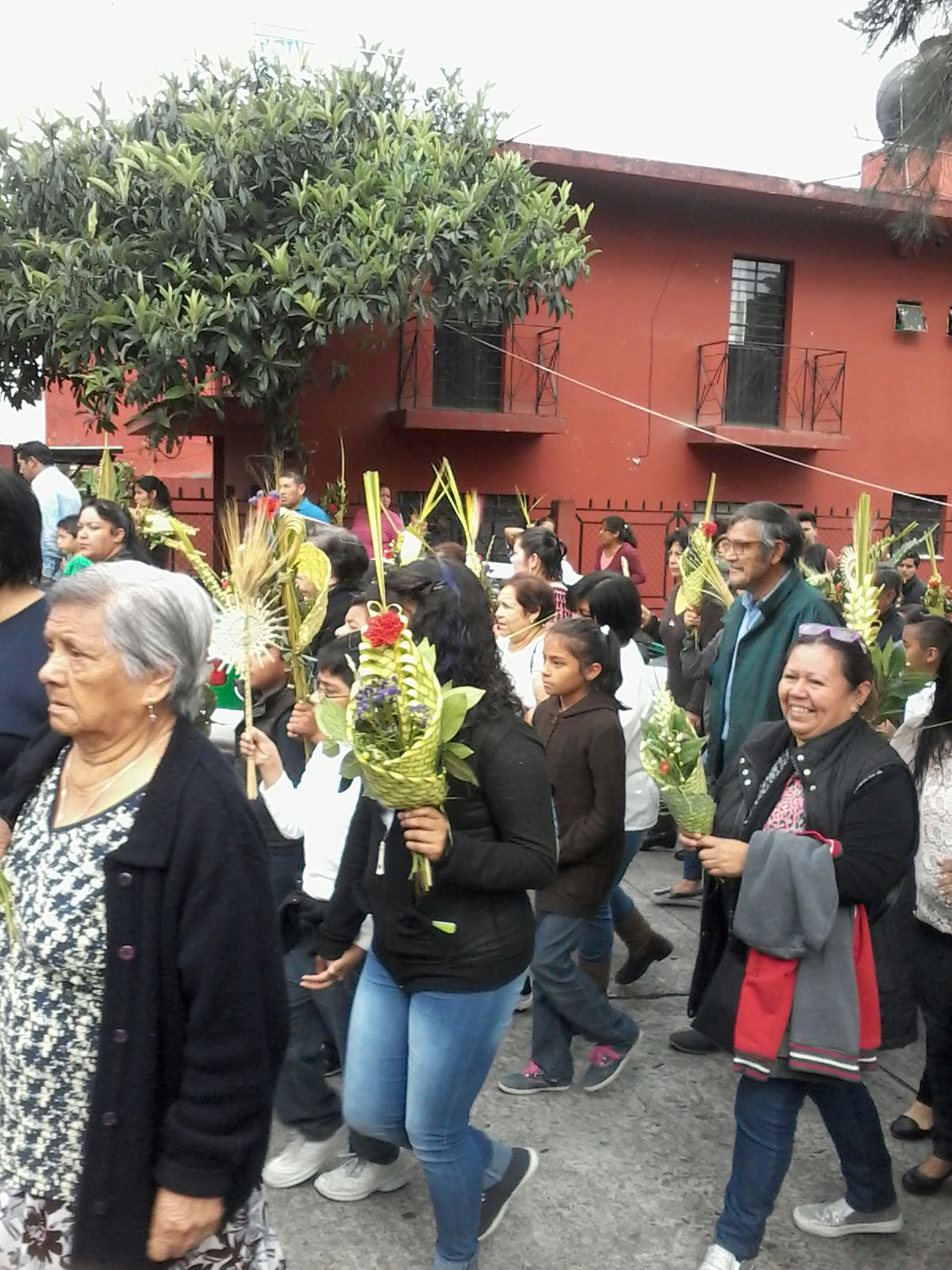 Con la bendición de palmas inicia la Semana Santa