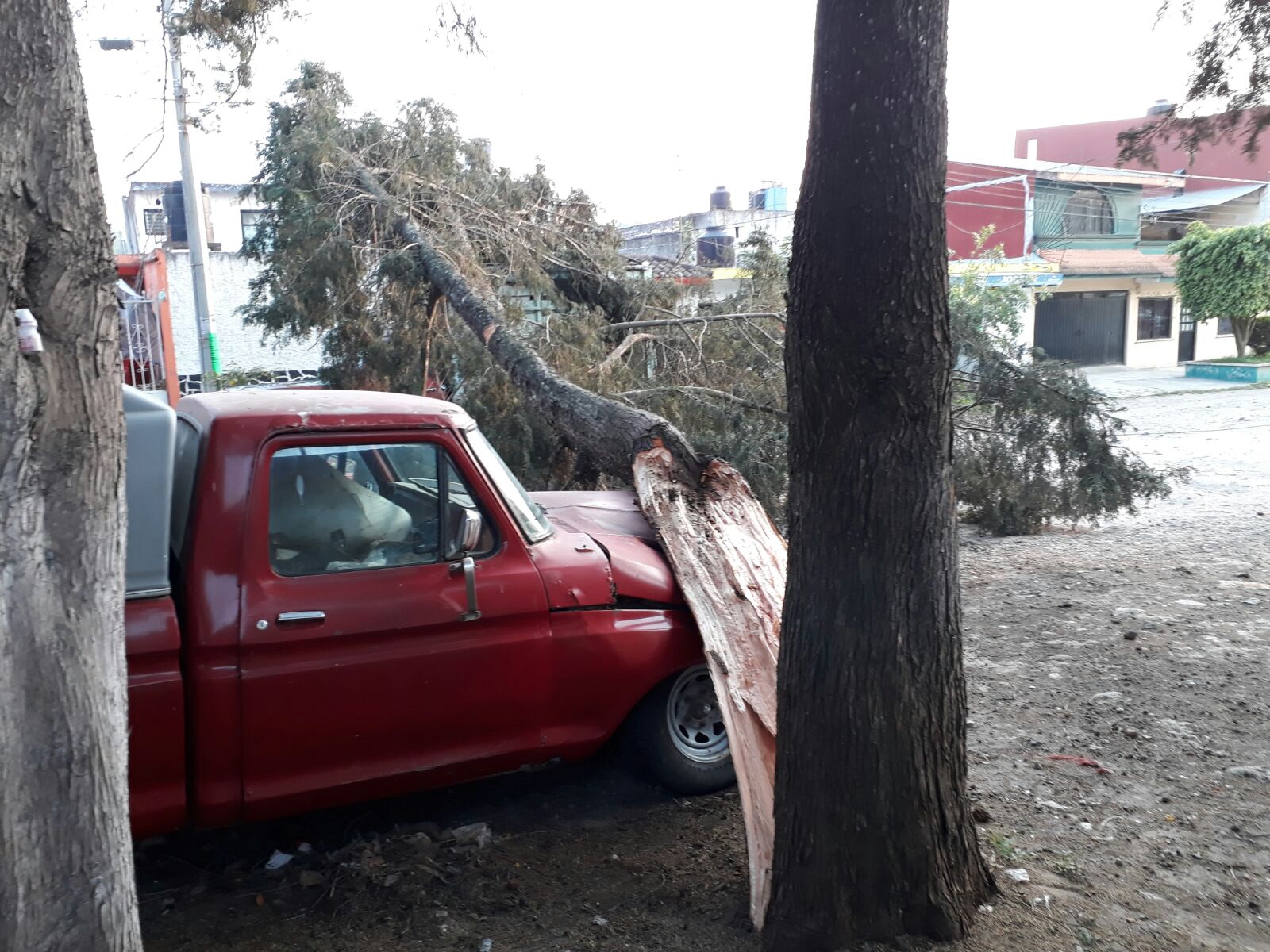 PC Xalapa atenta ante posible rachas de viento de 70 k/h por FF 36