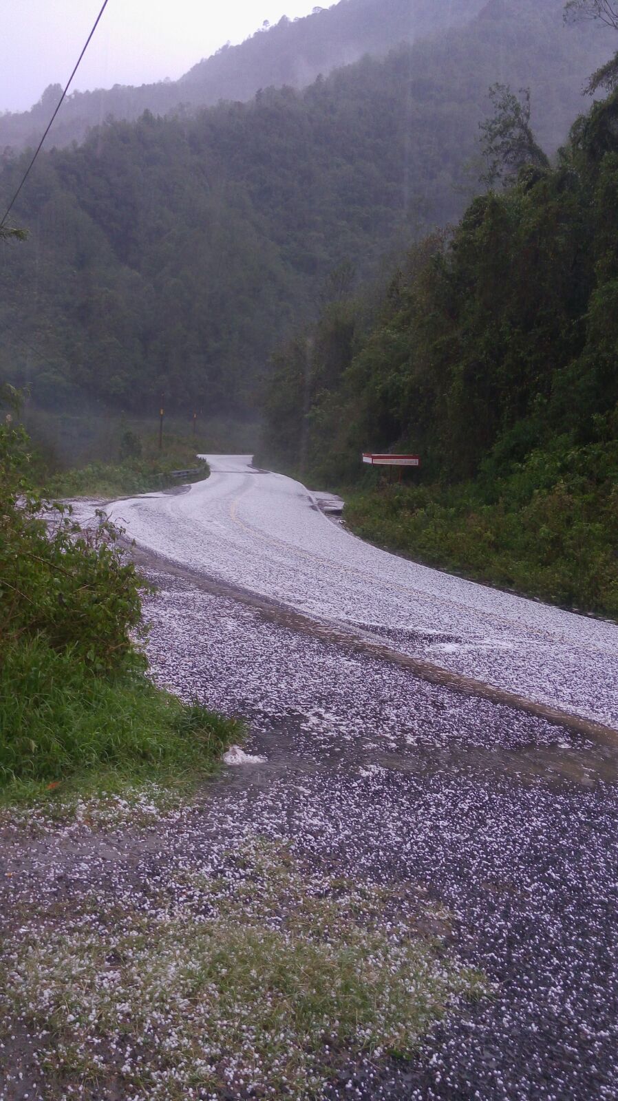 Granizada daña 150 casas y cultivos en Zongolica