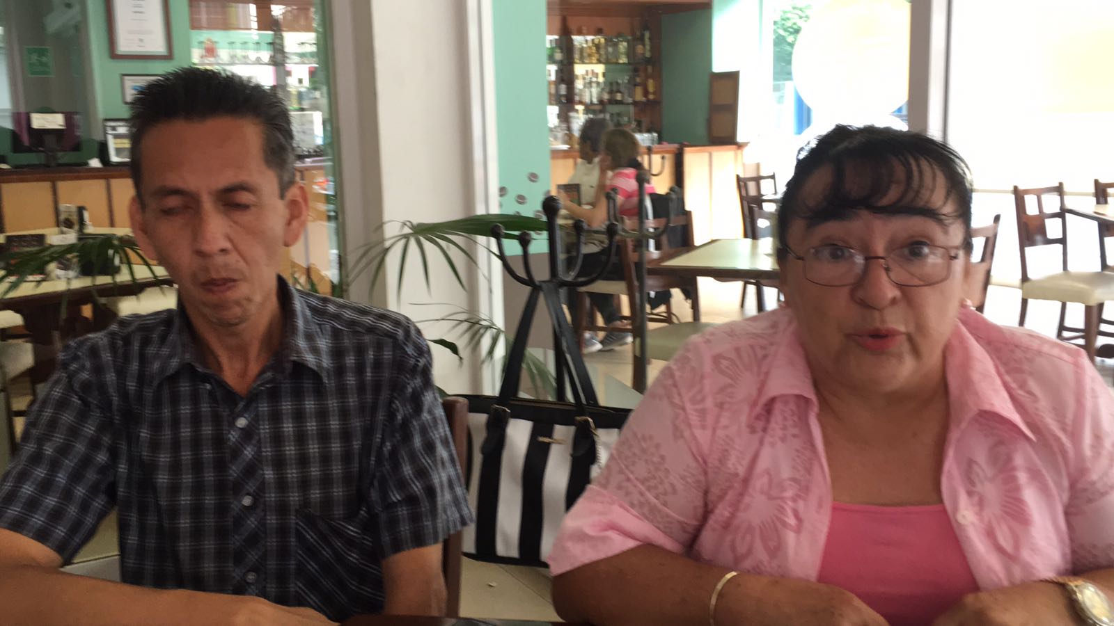 Huellitas pide información sobre perros y gatos albergados por ayuntamiento de Córdoba