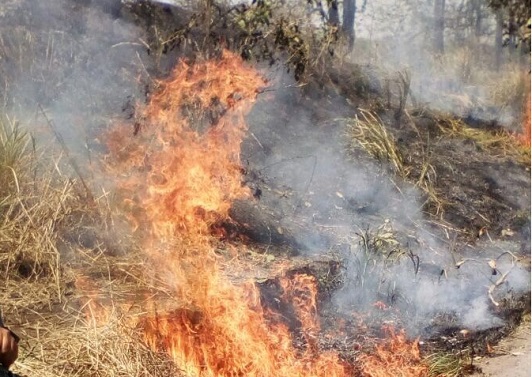 Se incrementan incendios de pastizales por causa del calor