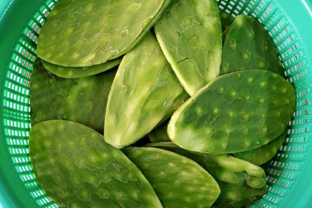 El nopal contribuye a combatir el síndrome de intestino irritable