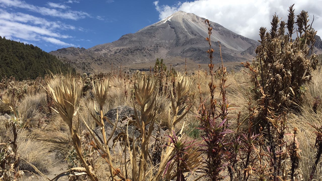 Deshielo en Pico de Orizaba por sequía extrema