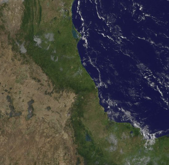 Ambiente cálido en gran parte del estado de Veracruz