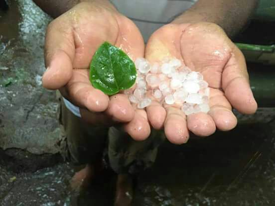 Misantla, municipio más afectado por granizada: SPC