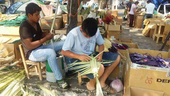 Inició la venta de palmas en el centro de Veracruz