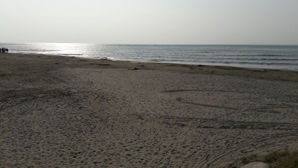 Quince playas de Veracruz, aptas para bañistas; positivo para las vacaciones de Semana Santa