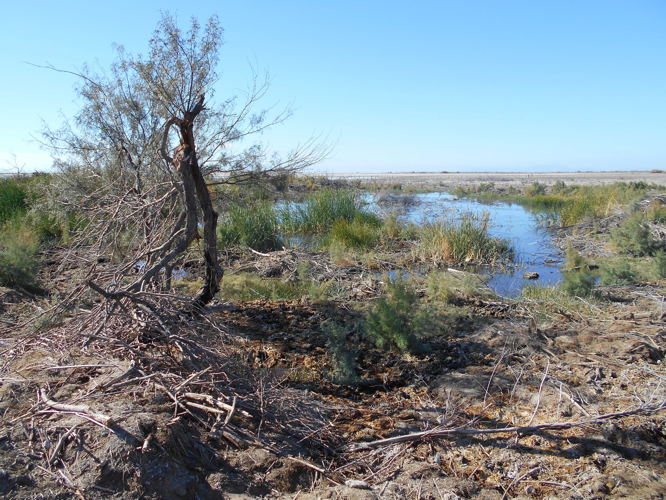 Grave descenso en el nivel de ríos de zonas centro y norte de Veracruz por falta de lluvias
