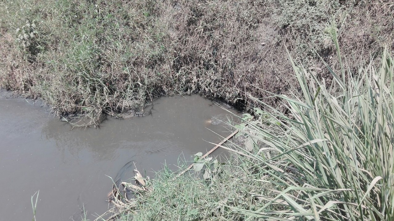 Laguna María Lizamba en Tierra Blanca, con graves problemas de contaminación