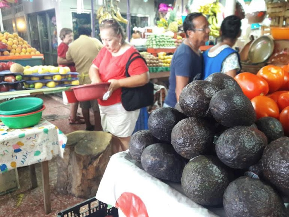 Precio del aguacate se mantiene en 85 pesos por kilo en mercados del país
