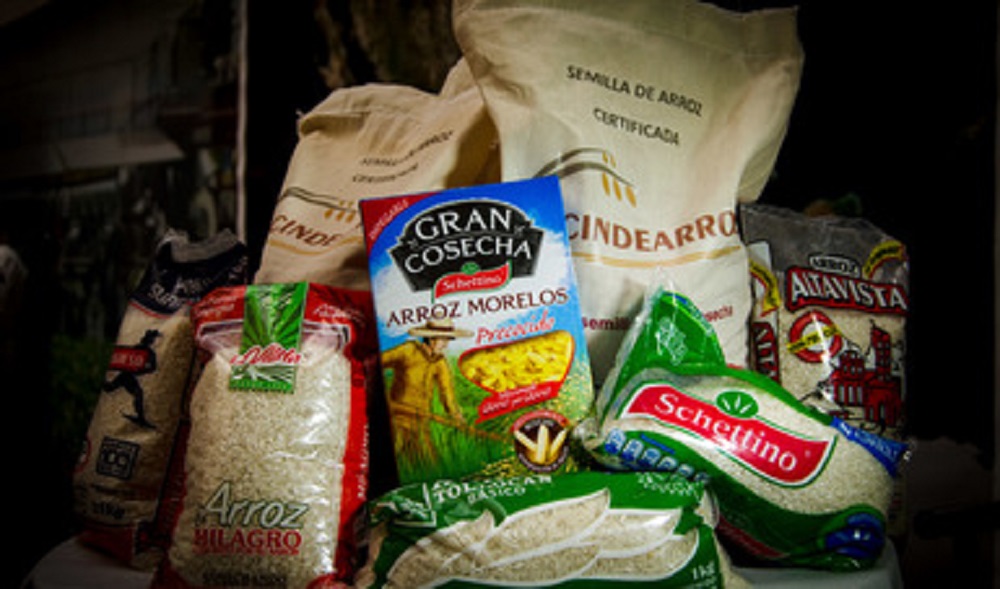 Confirma Senasica origen natural del arroz presuntamente sintético