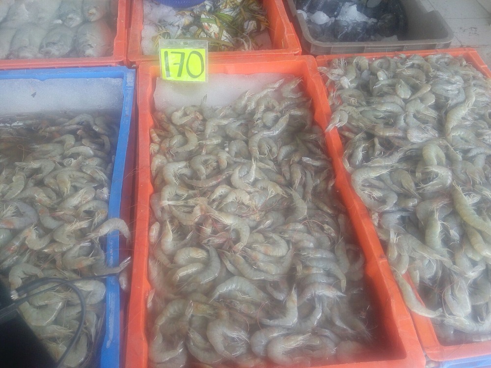 Por veda incrementa el precio del camarón