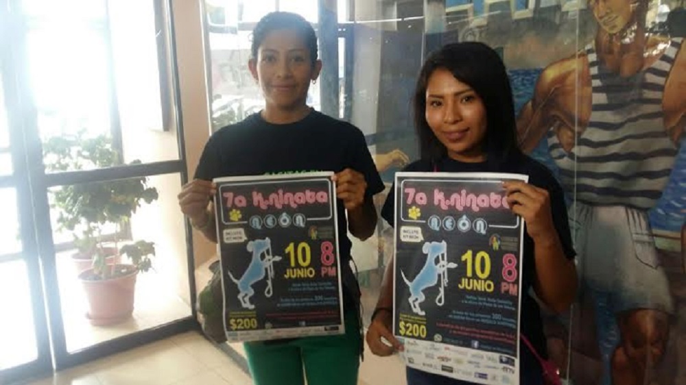 “Casitas en Movimiento” recaudará fondos para esterilizar a 250 perros y gatos