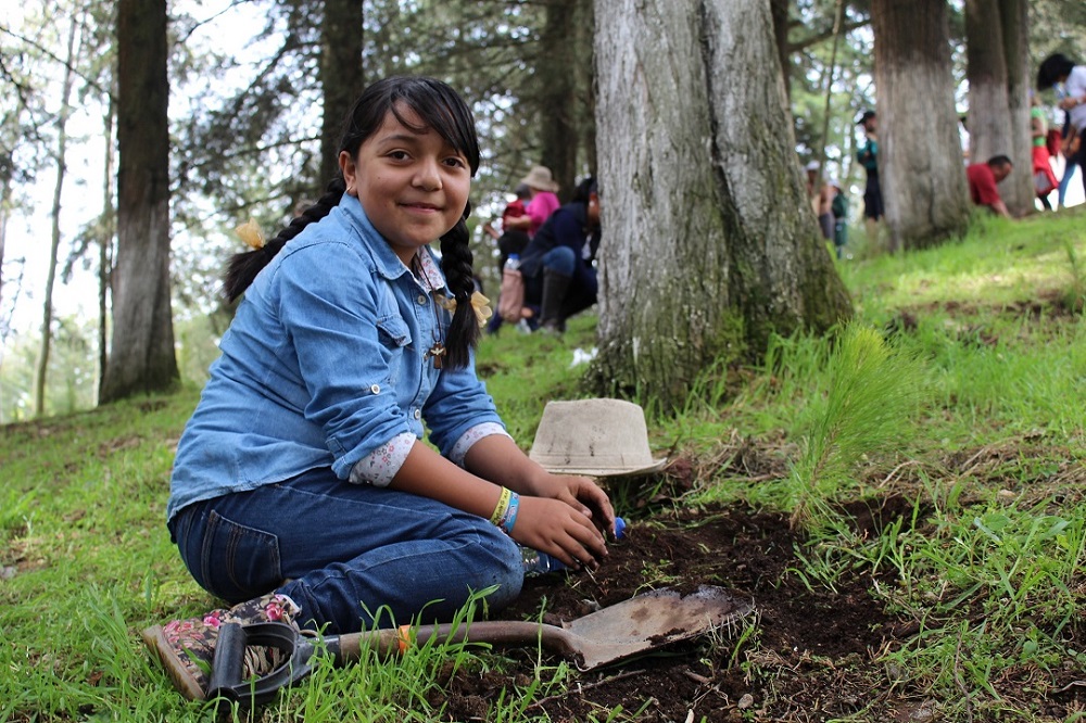 Invitan a niños a participar en la Semana Nacional de Cultura Forestal