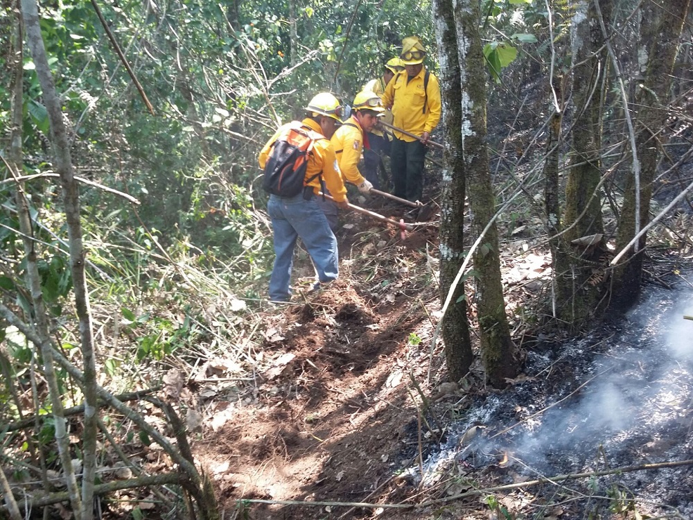 Conafor reconocerá a combatientes de incendios forestales