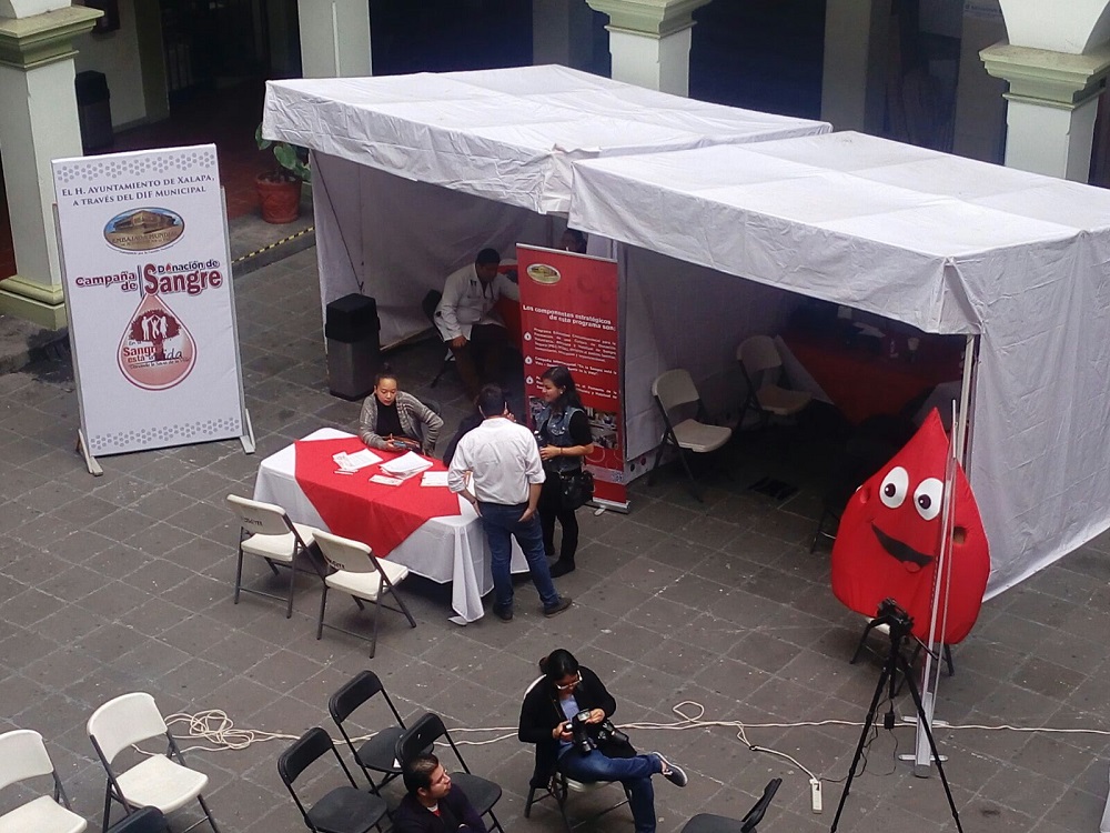 Activistas por la Paz inician campaña de donación de sangre en Xalapa