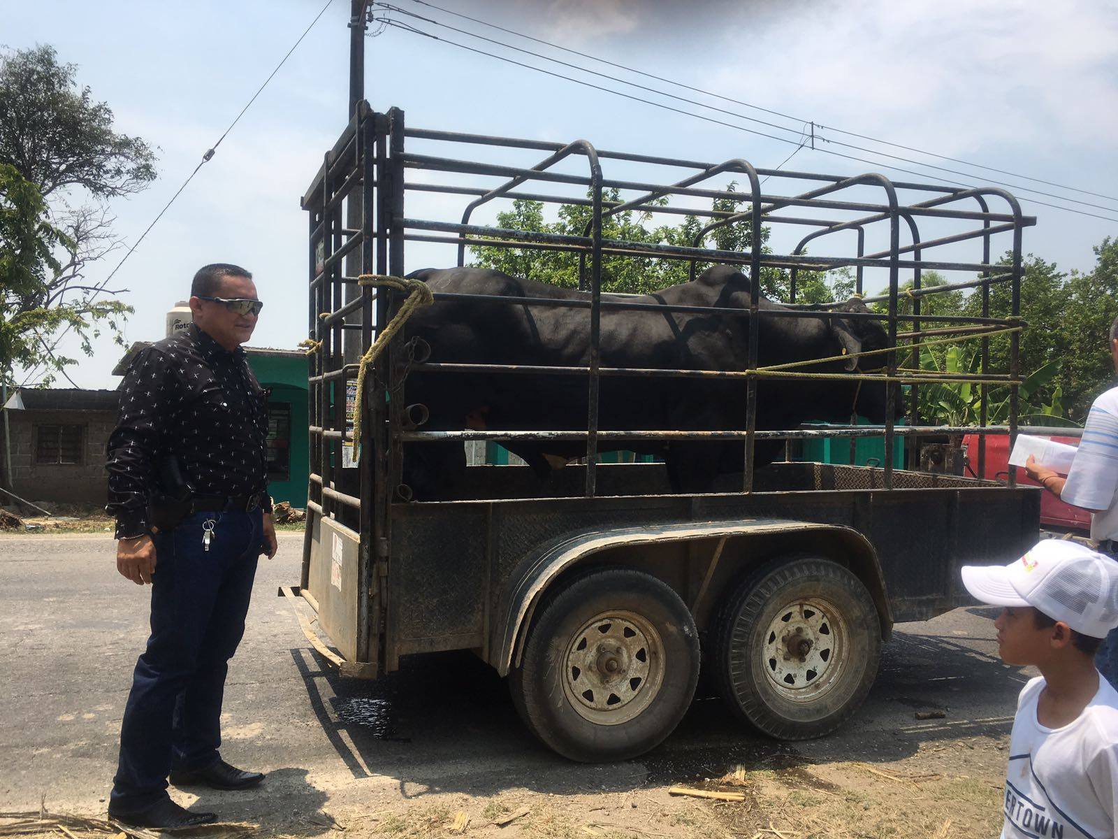 Desactiva FGE evento taurino e inhibe suelta de toros, en Amatitlán