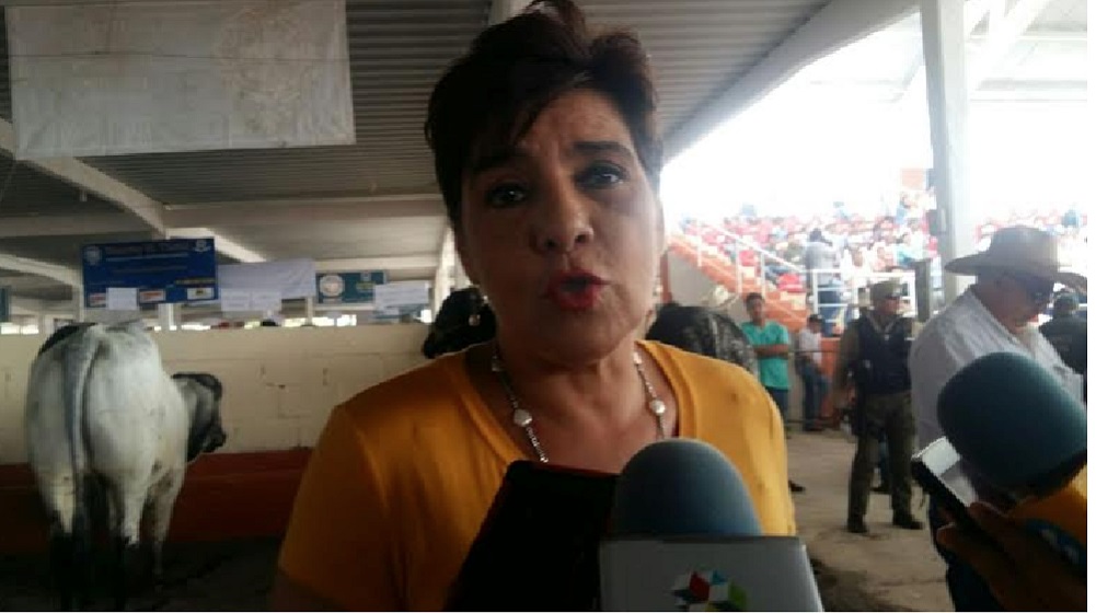 Diputados locales someterán a votación desafuero de Eva Cadena