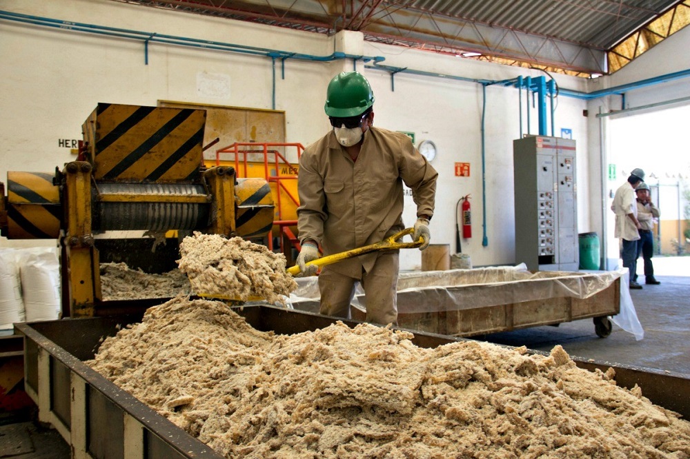 Programa de Empleo Temporal genera más de 58 mil empleos en el Estado de México