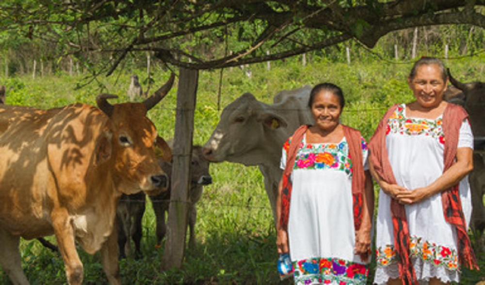 Destina Sagarpa tres mil mdp para atender contingencias climáticas en el campo