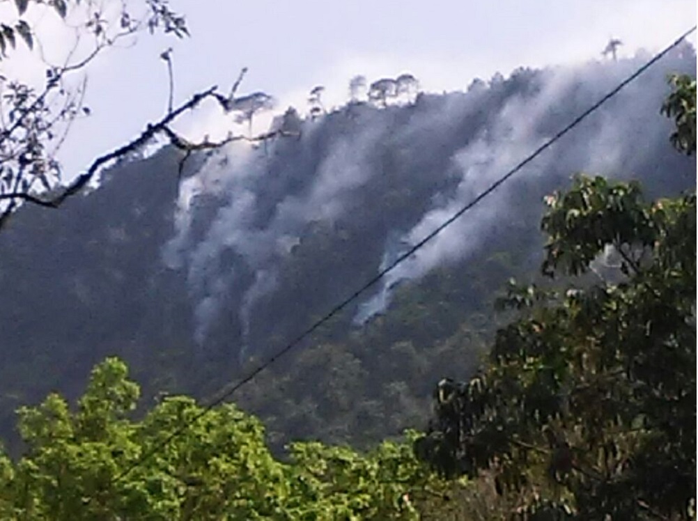 Conafor y PC combaten incendio forestal en el municipio de Rafael Delgado