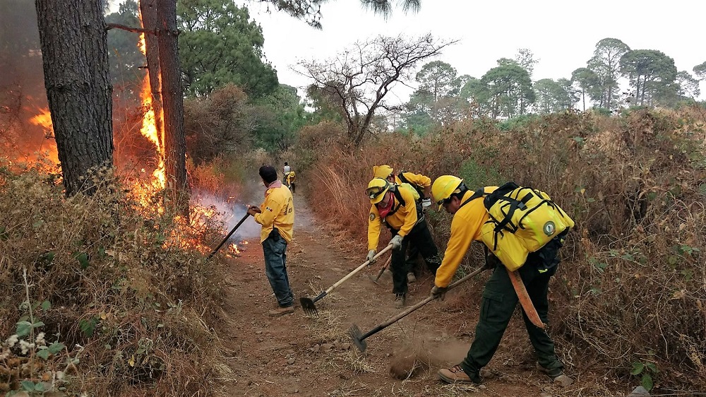 Por el estiaje, Protección Civil lleva a cabo la prevención de incendios forestales en la sierra de Huayacocotla