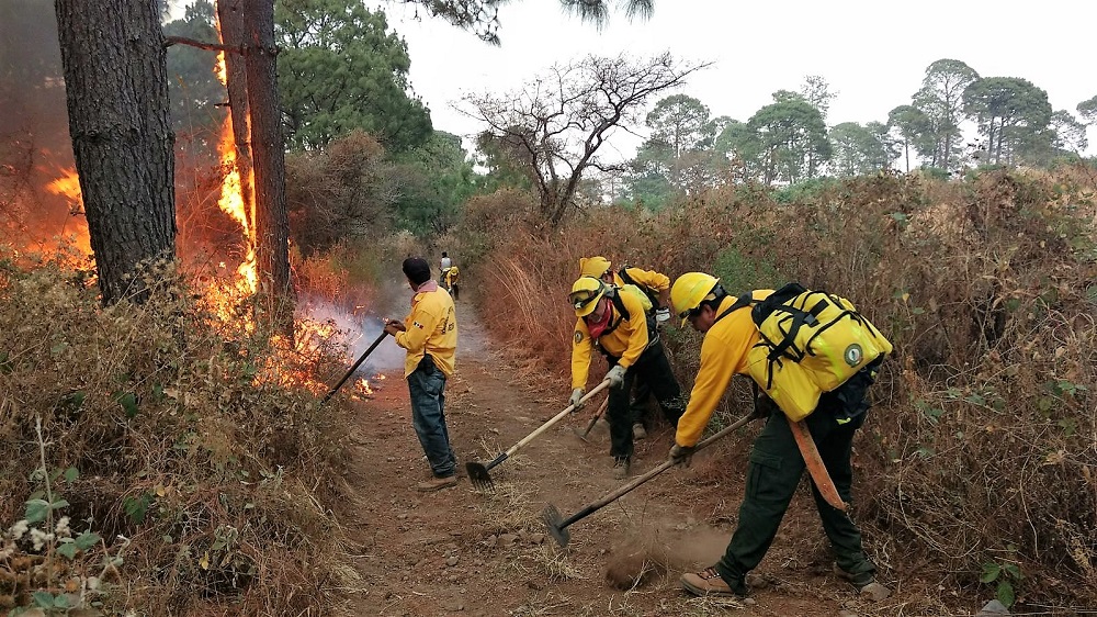 En lo que va del 2018 se han registrado ocho incendios en Veracruz