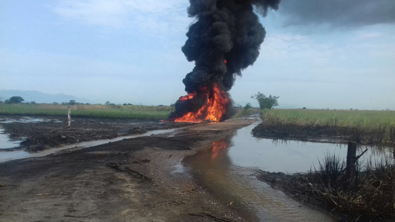 Cuatro muertos deja incendio en Tierra Blanca provocado por toma clandestina