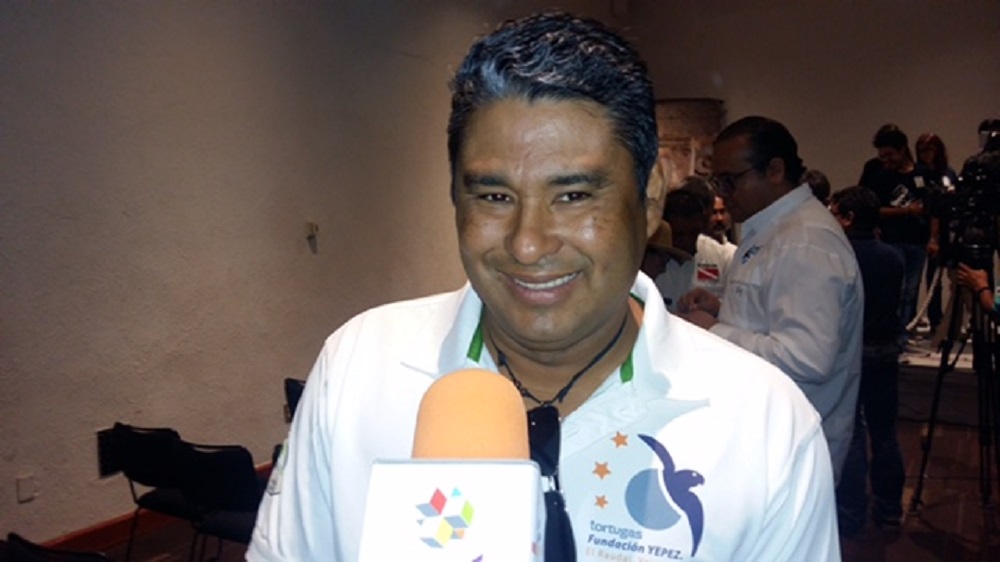 Arriban tortugas a la zona norte del estado