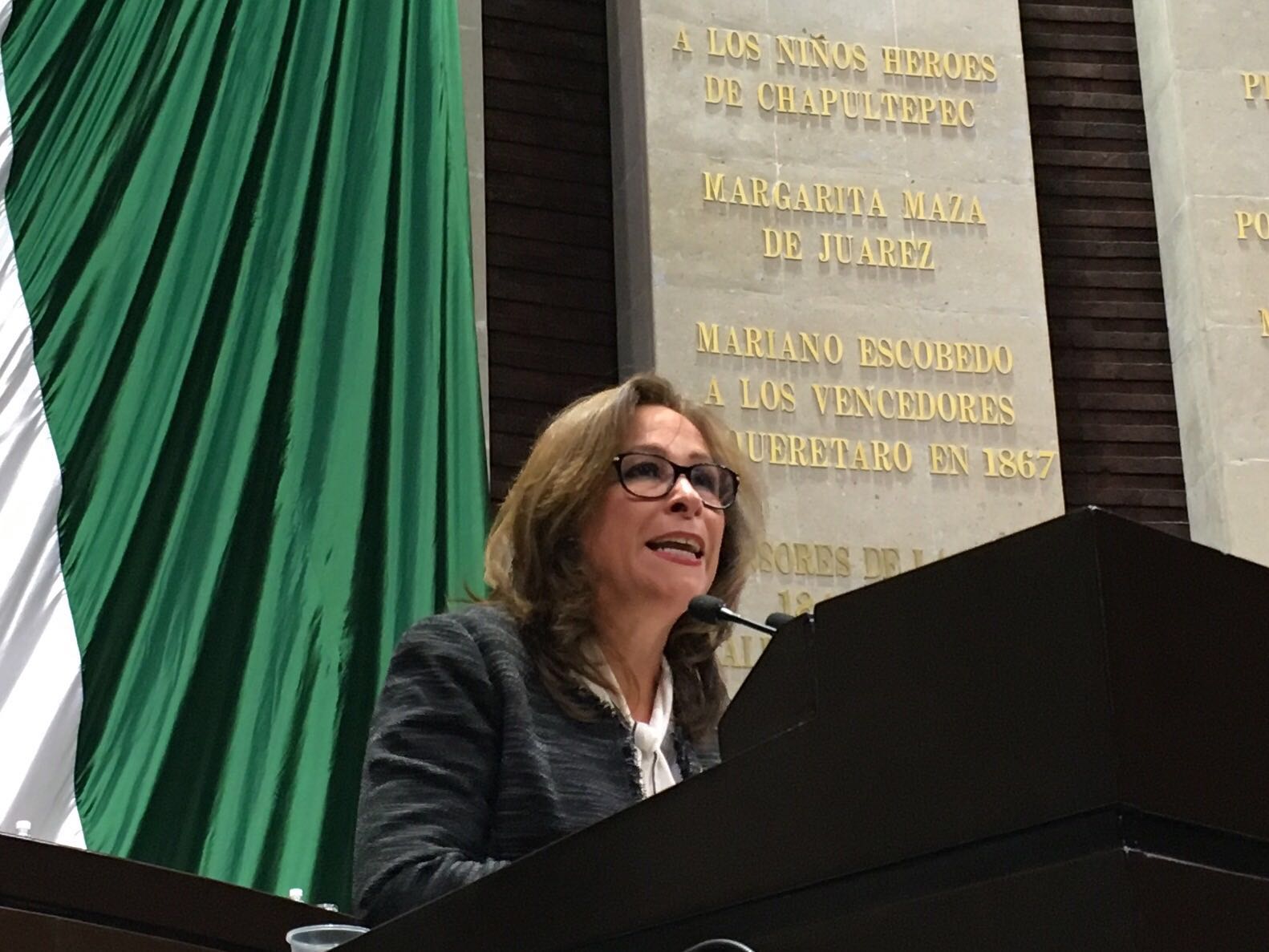 Demanda Ana María Winckler a la diputada Rocío Nahle de Morena por difamación