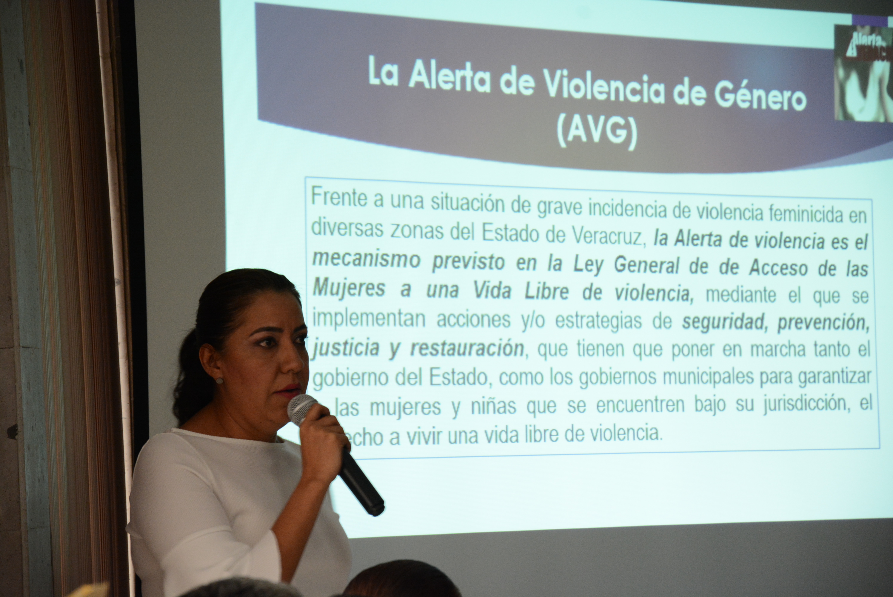 Veracruz podría tener sanción internacional si municipios no cumplen Alerta de Violencia de Género, advierte diputada