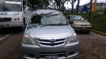 Diversos daños en Xalapa por fuertes rachas de viento