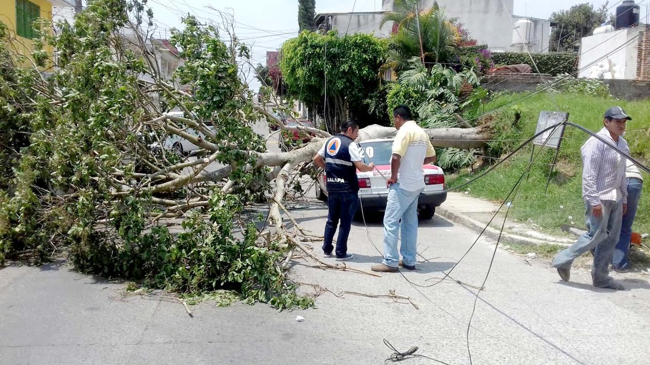 Afectaciones en 38 municipios por Frente Frío 45: Protección Civil