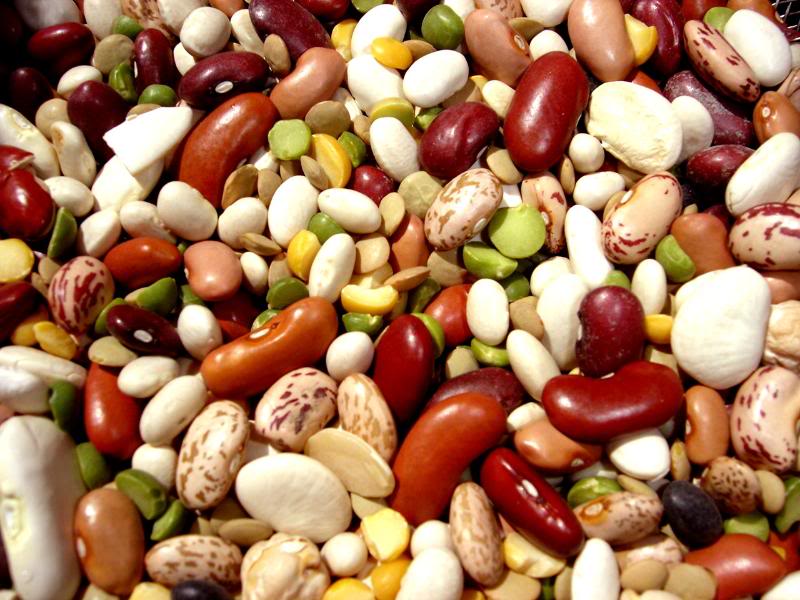 Disminuye producción de granos en Pánuco, alertan productores